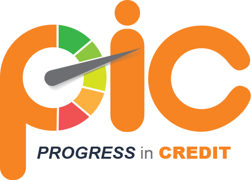 PIC - Progress in Credit
